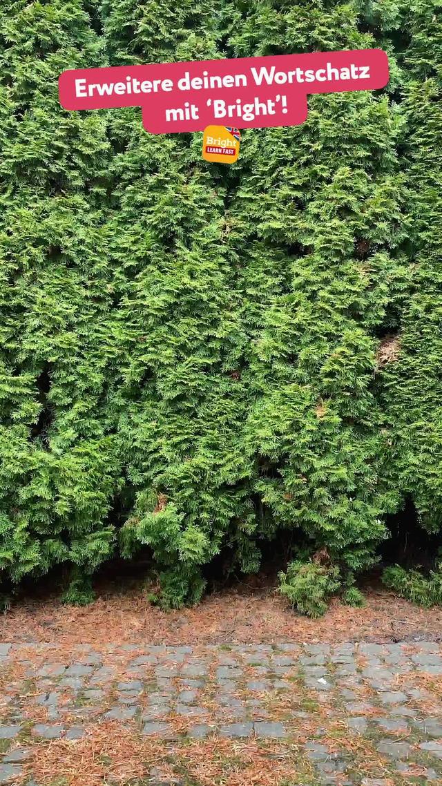 Gratis ausprobieren!