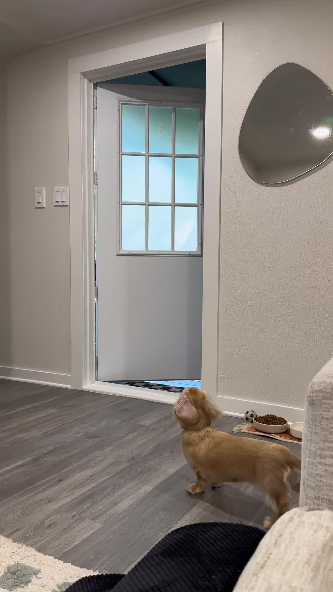 3 items for $0.99 on 1st order