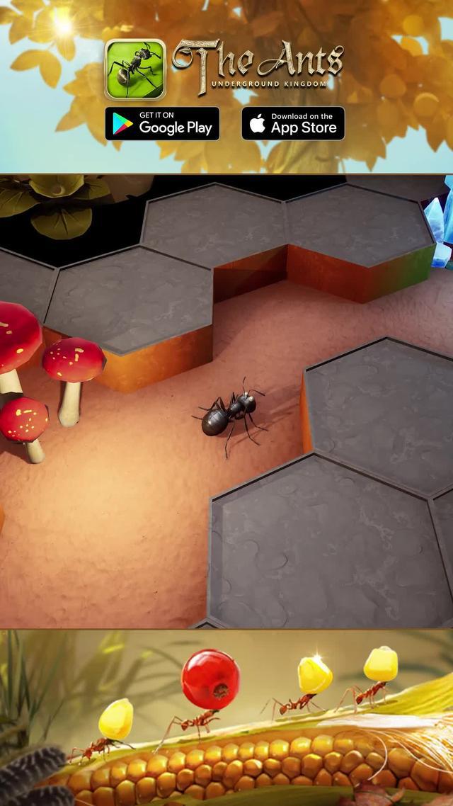 Spiele die Rolle der Ameisen