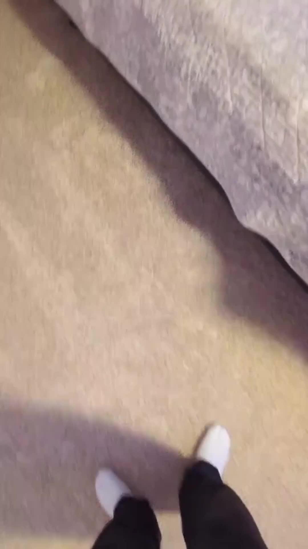 Meow-velous winter, cozy up with cats!