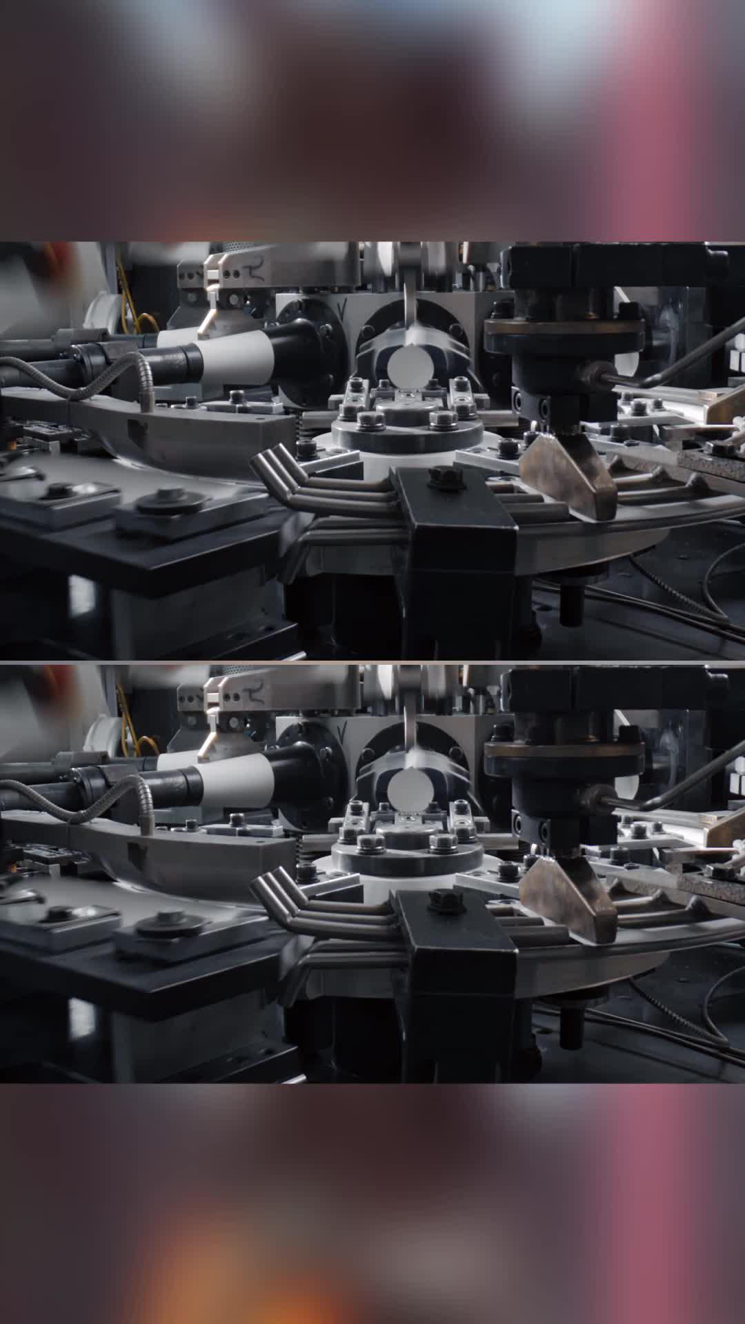 Don't miss out the fun!