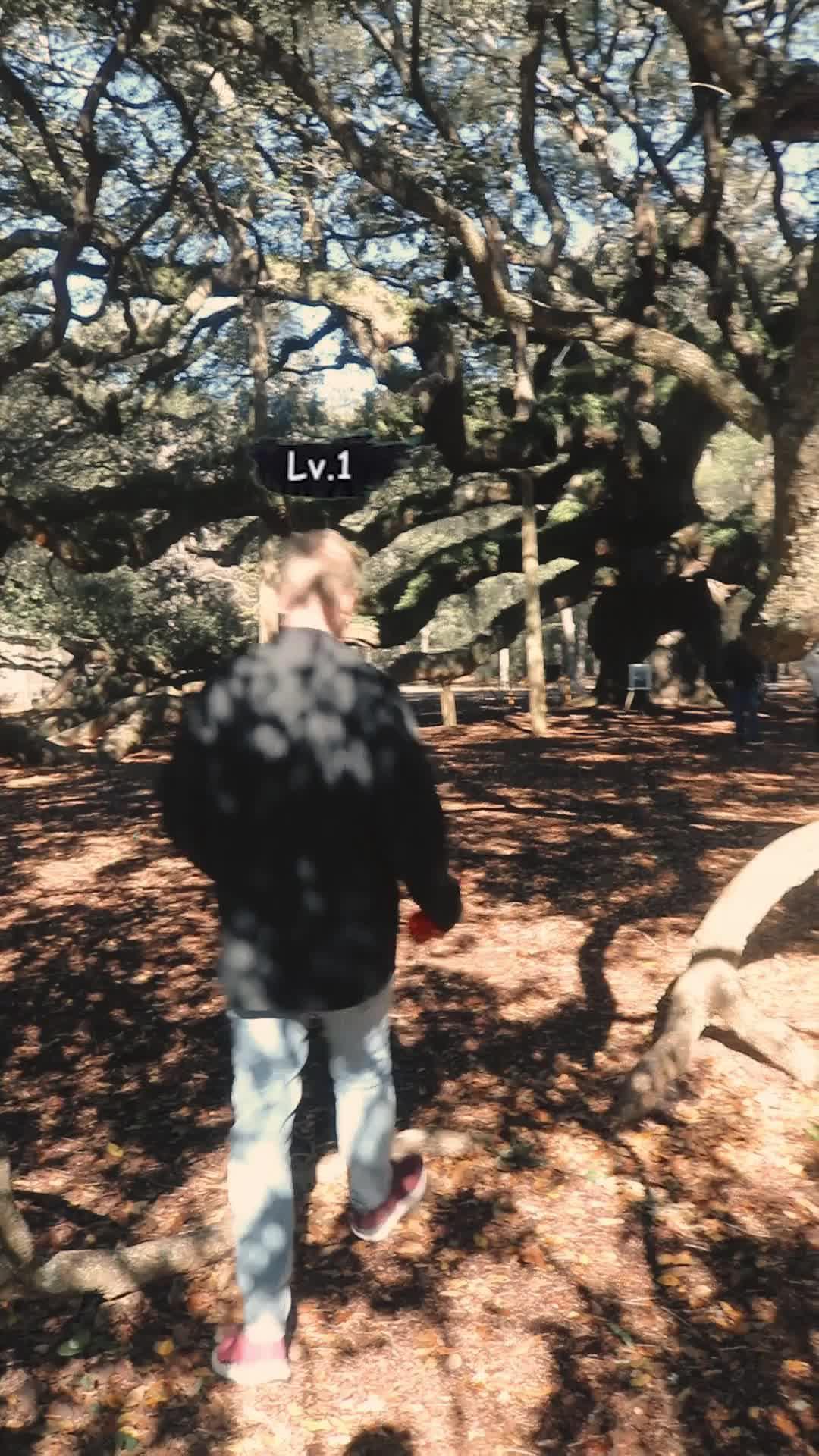 Easy to play anywhere, anytime!