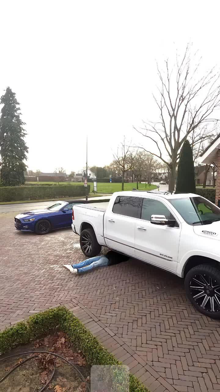 Set exclusive widgets & themes for your Phone