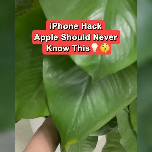 Clean Up iPhone & iCloud
