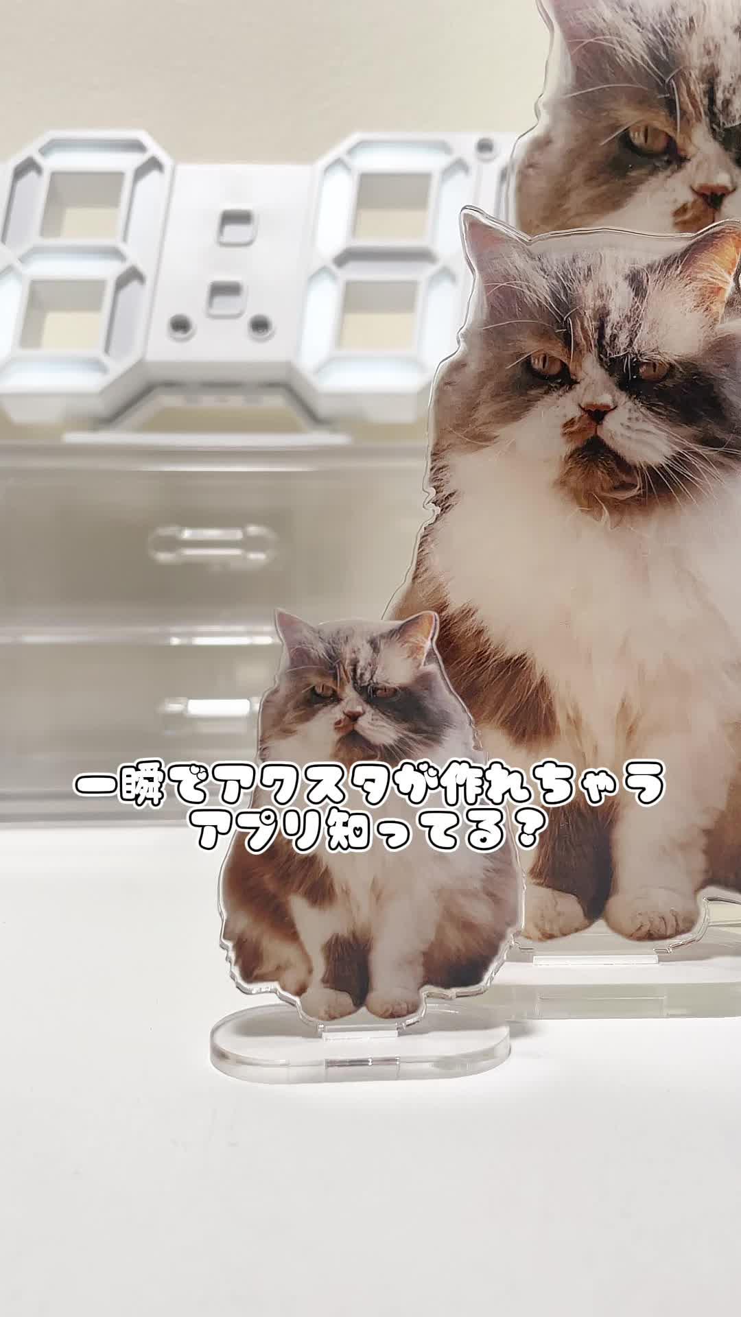 かわいいアクキーをつくろう