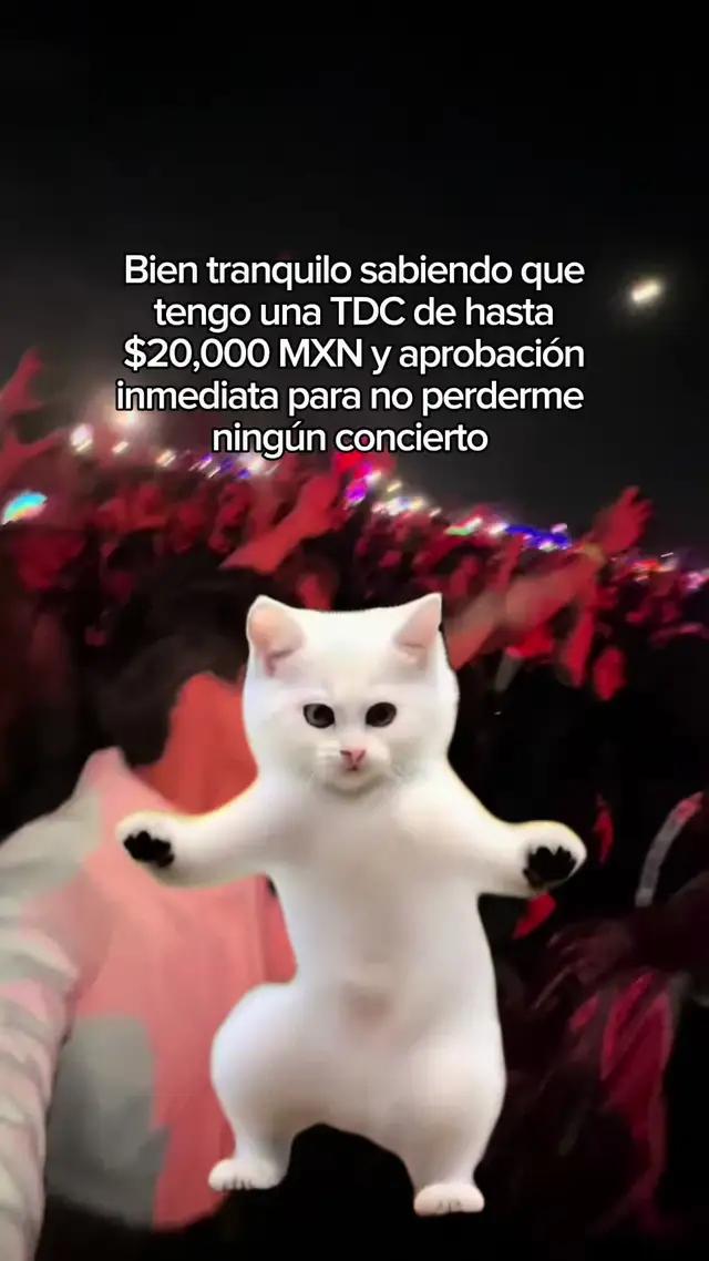 Disfruta al tus conciertos favoritos con Stori Card ¡99% aprobación!