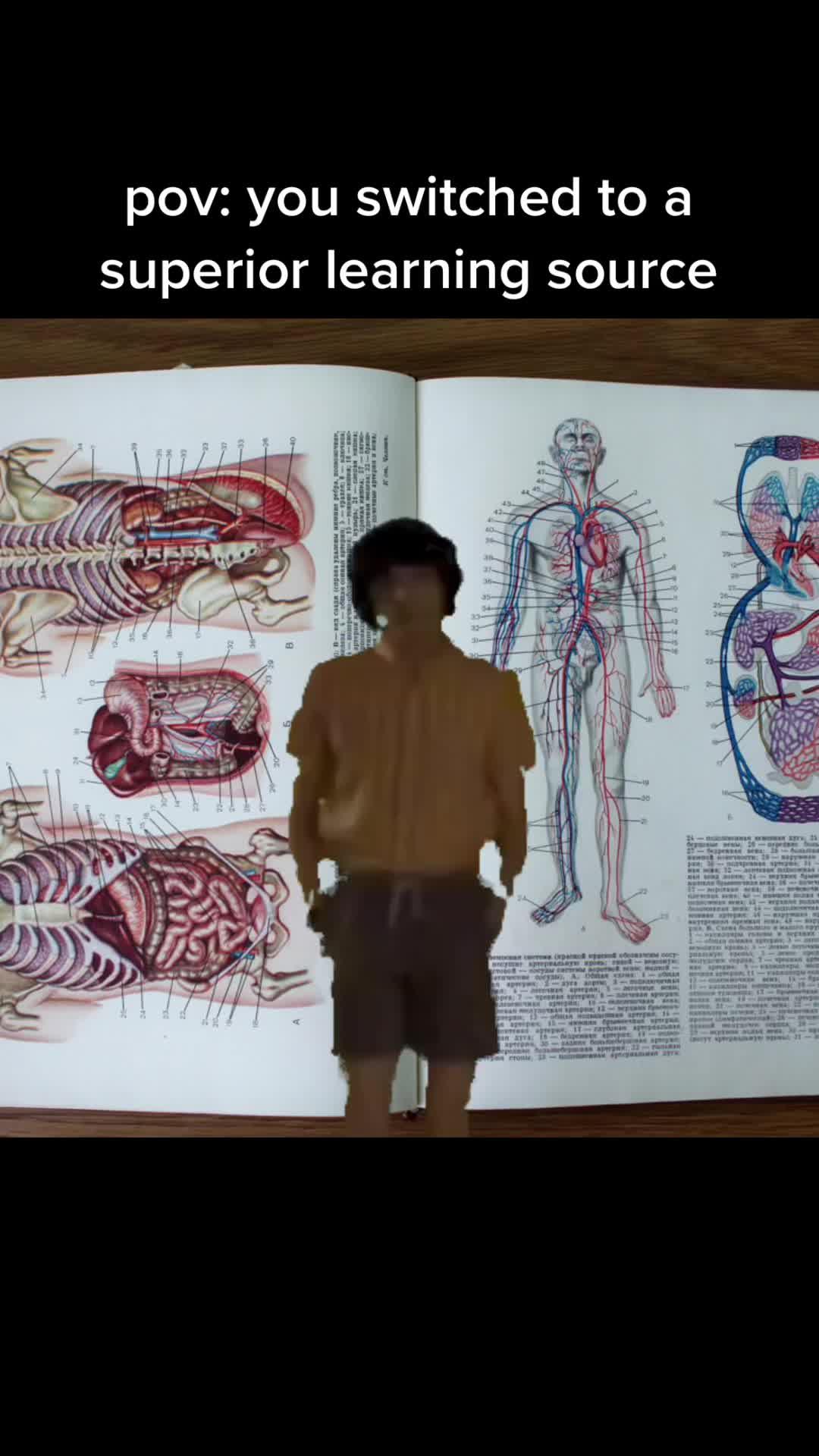 LINK IN BIO - no ads, completely free! Download Knowness today ‼️ #knowness #education #newapp #studytok #study #school #highschool #middleschool #fyp #fypシ #alevels #alevel #gcse #university #college #sixthform #astronomy #space #engineering #medicine #biology #biologystudent #biologytok #medicinetok #medstudent