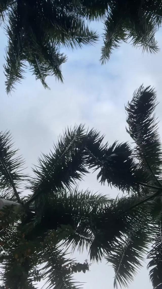 Stop paying for subscriptions you don't even use. Save hundreds.