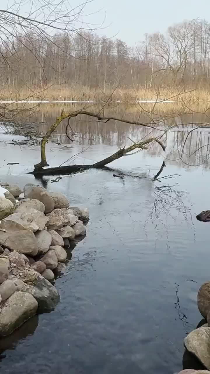 Try it for Free, right now!!!