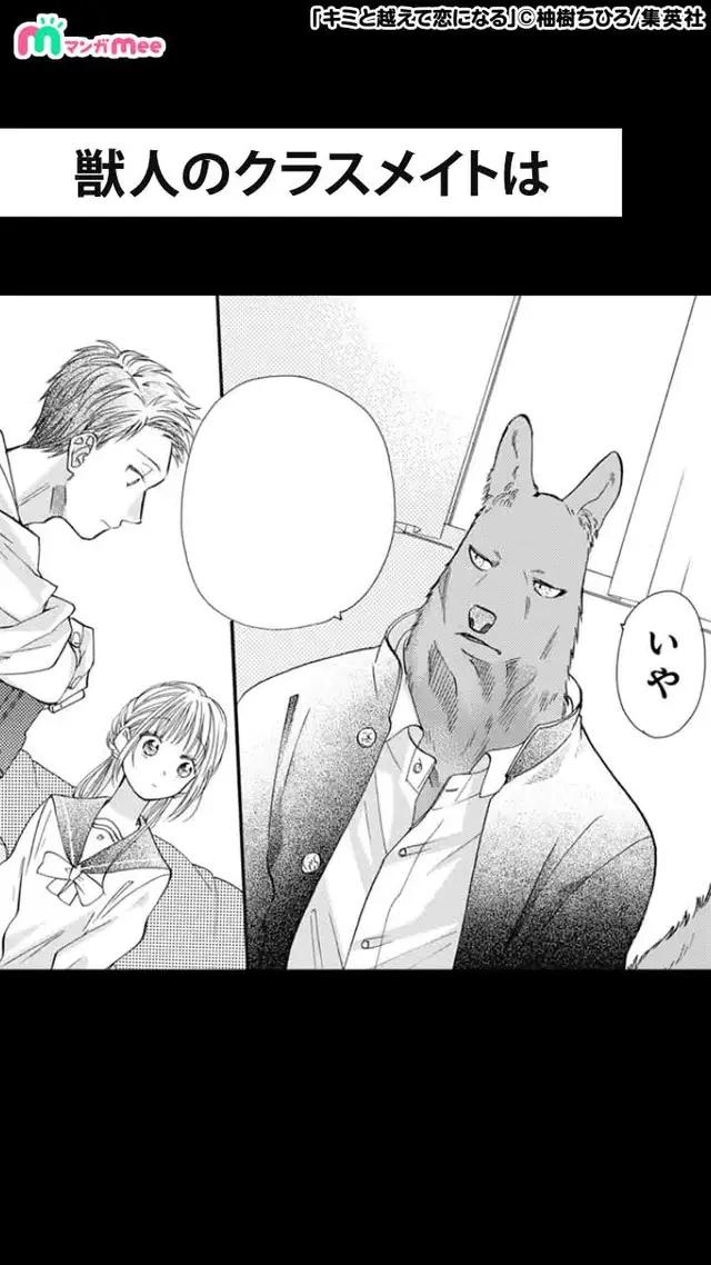 ＜恋愛・学園・青春＞キミと越えて恋になる／人間と獣人の種族を越えたラブストーリー
