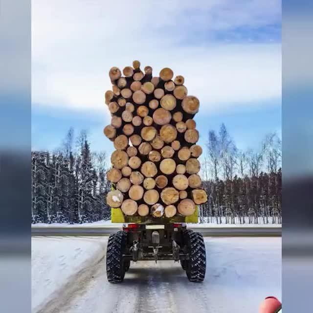 Download this application for free now!