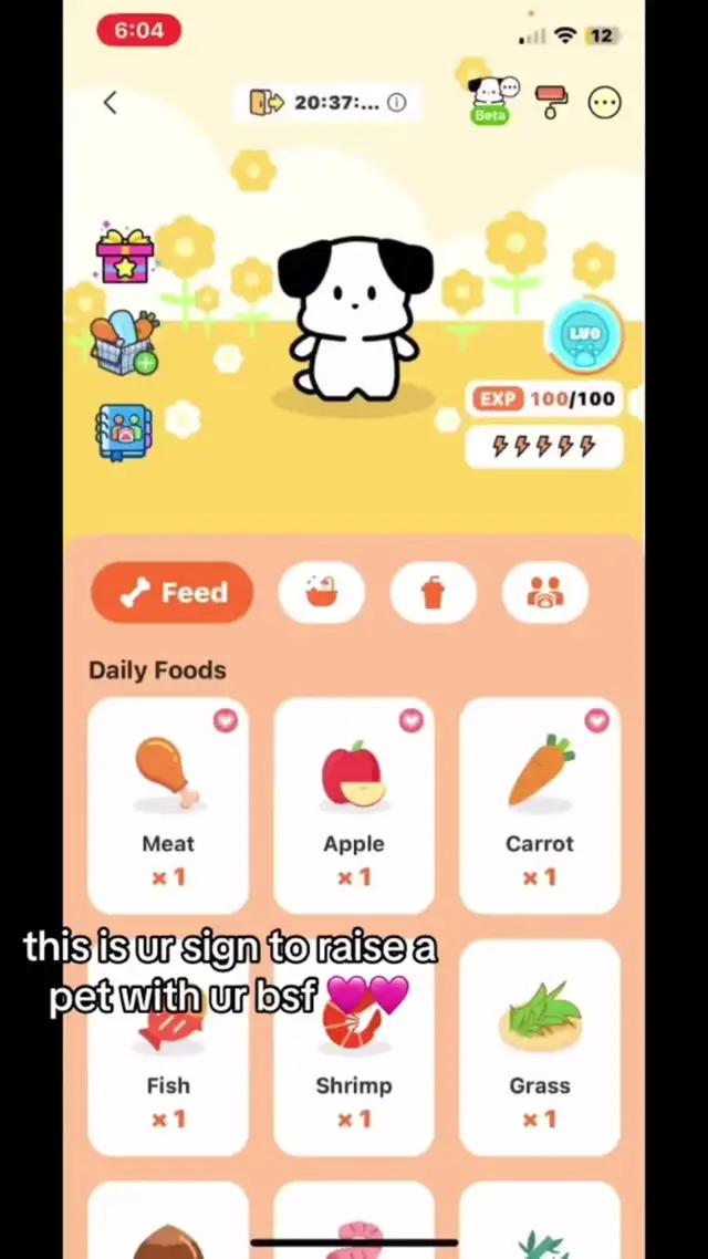 Set Cute Dynamic Animals Widget for your iPhone