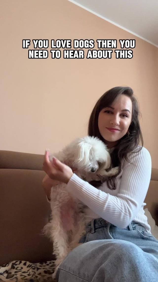 Featured on CTV, CityNews, BlogTO, Narcity, and many more. Download Pawmates and meet dogs near you!