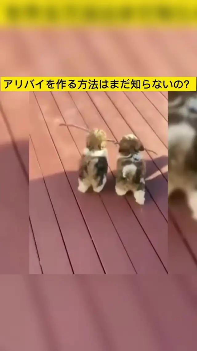 このゲームは面白くてたまらない！