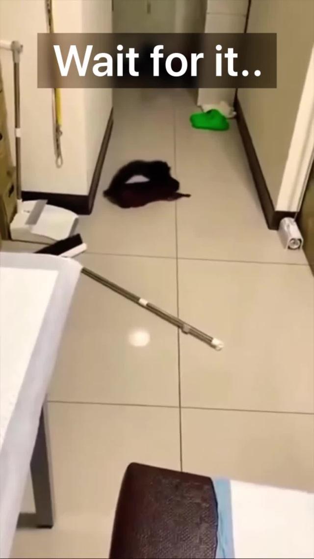 Declutter, Organize, and Speed Up!