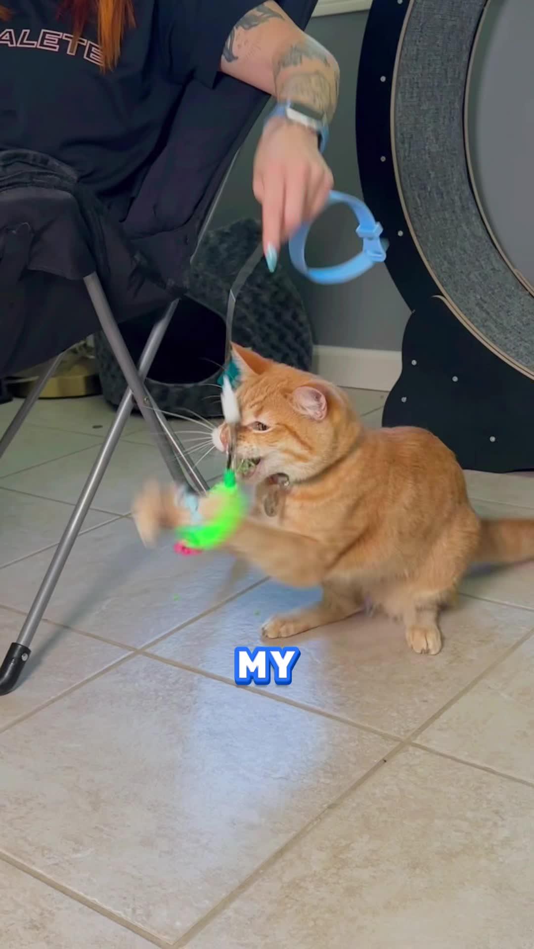 Quick, find all the objects!