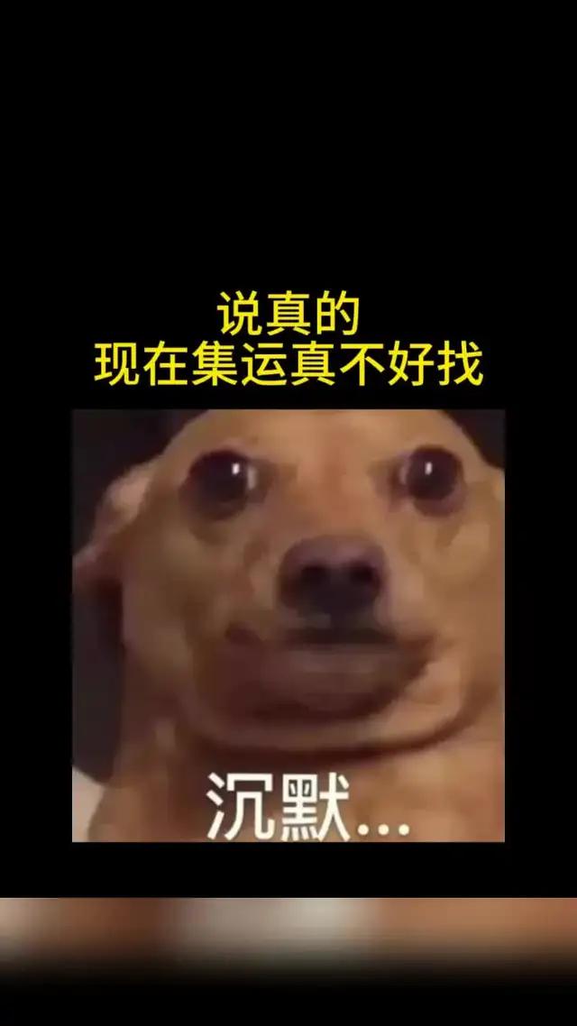 菜鸟集运！这么能寄你不要命啦！