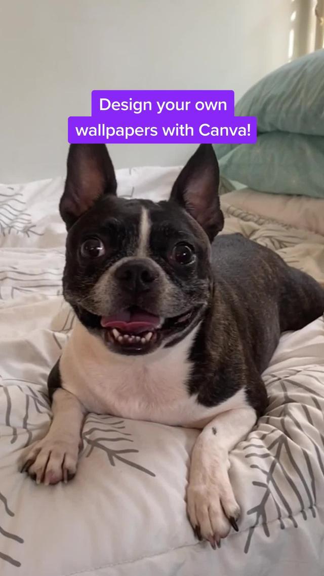 Creating designs on Canva is so easy, anyone can do it. Download the app. Start designing for now.