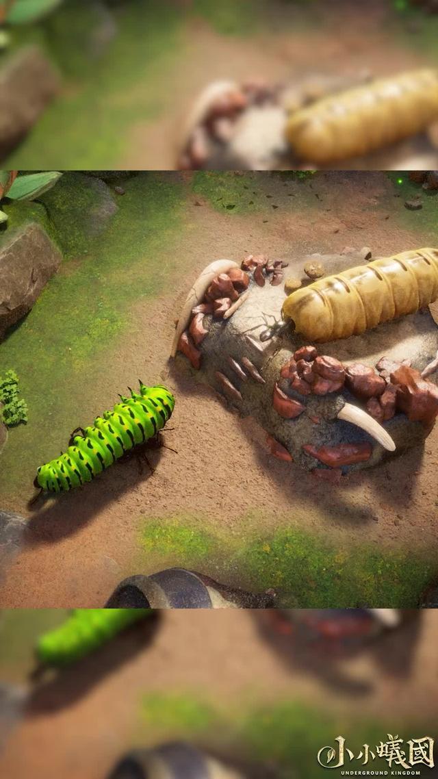 螞蟻王國的戰爭