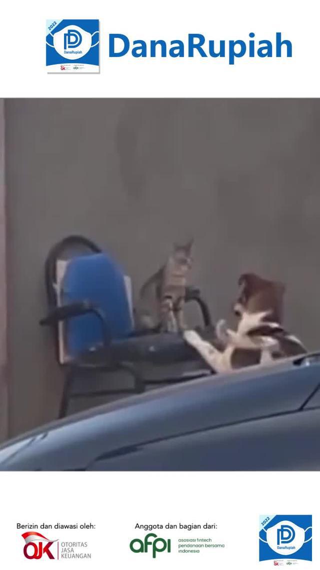 Bersertifikat resmi, semua orang bisa meminjam dengan percaya diri