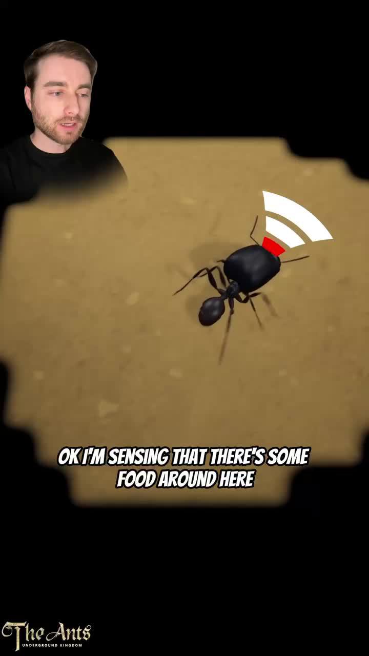 立即下載遊戲以獲得獎勵！