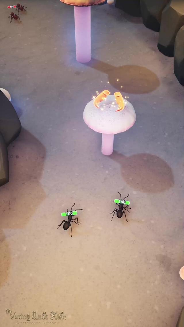 Chấn hưng thế giới kiến của bạn