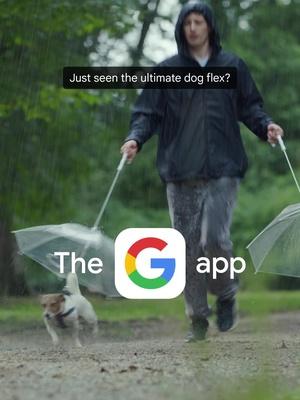 Spotted a must-have for your dog in the park? Download the Google app and get it for yourself