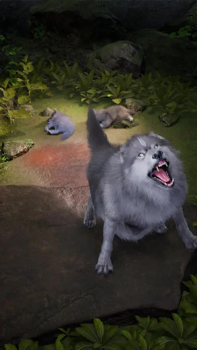 神秘的で捉えられない大自然の世界を探検しよう。