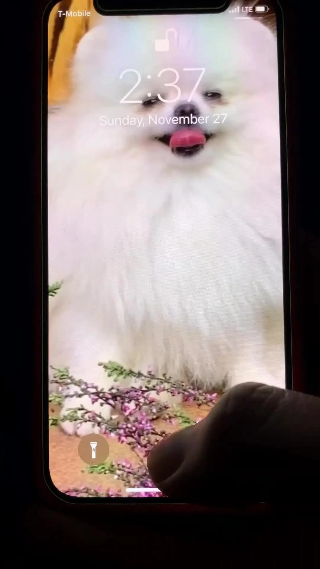 One Tap Change Your Wallpaper!