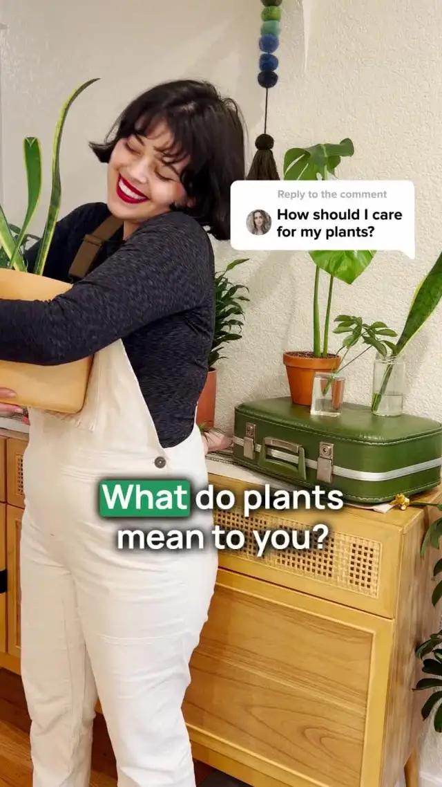 Get Lily for FREE!