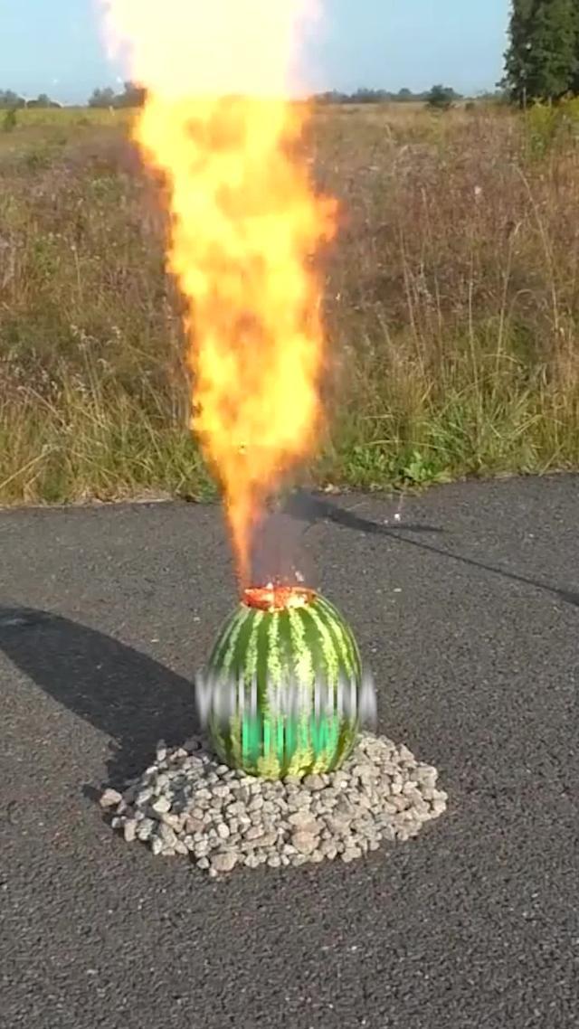 Get the perfect workout plan!