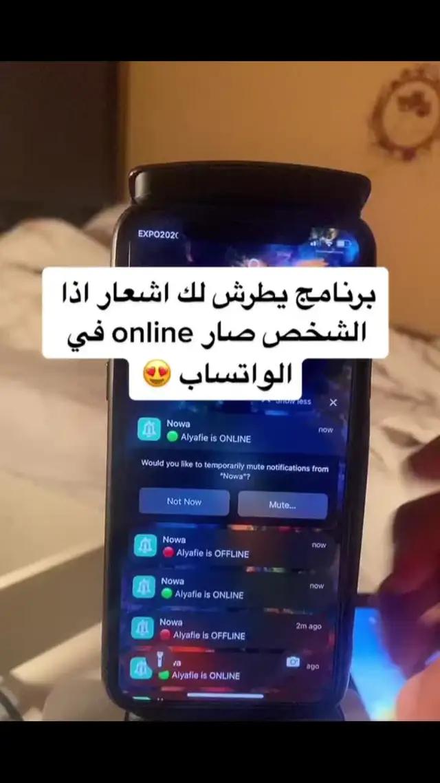 تطبيق دليل شامل مع نصائح مفصلة حول الميزات والاستخدام والفوائد