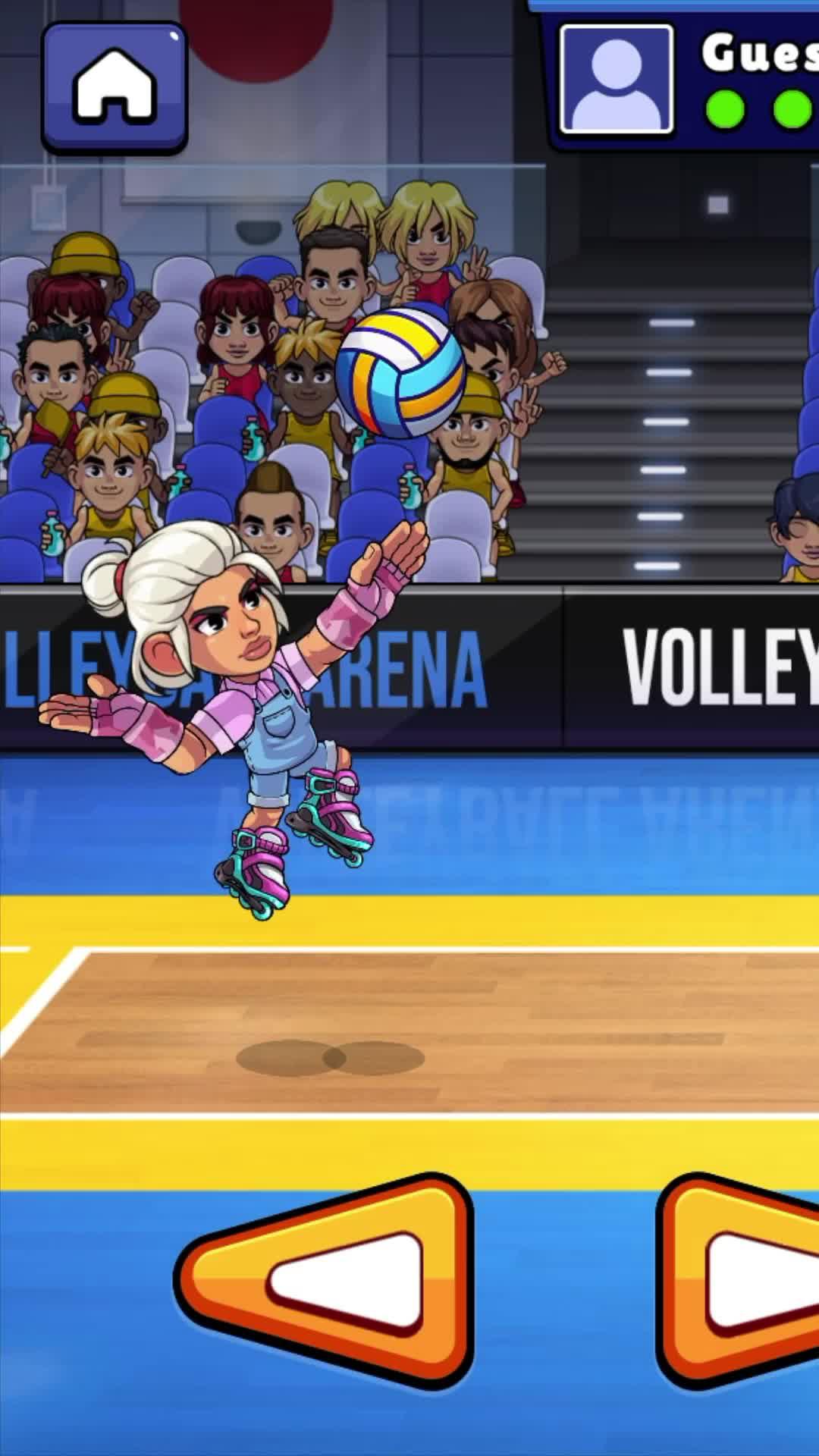 Download Volleyball Arena Now