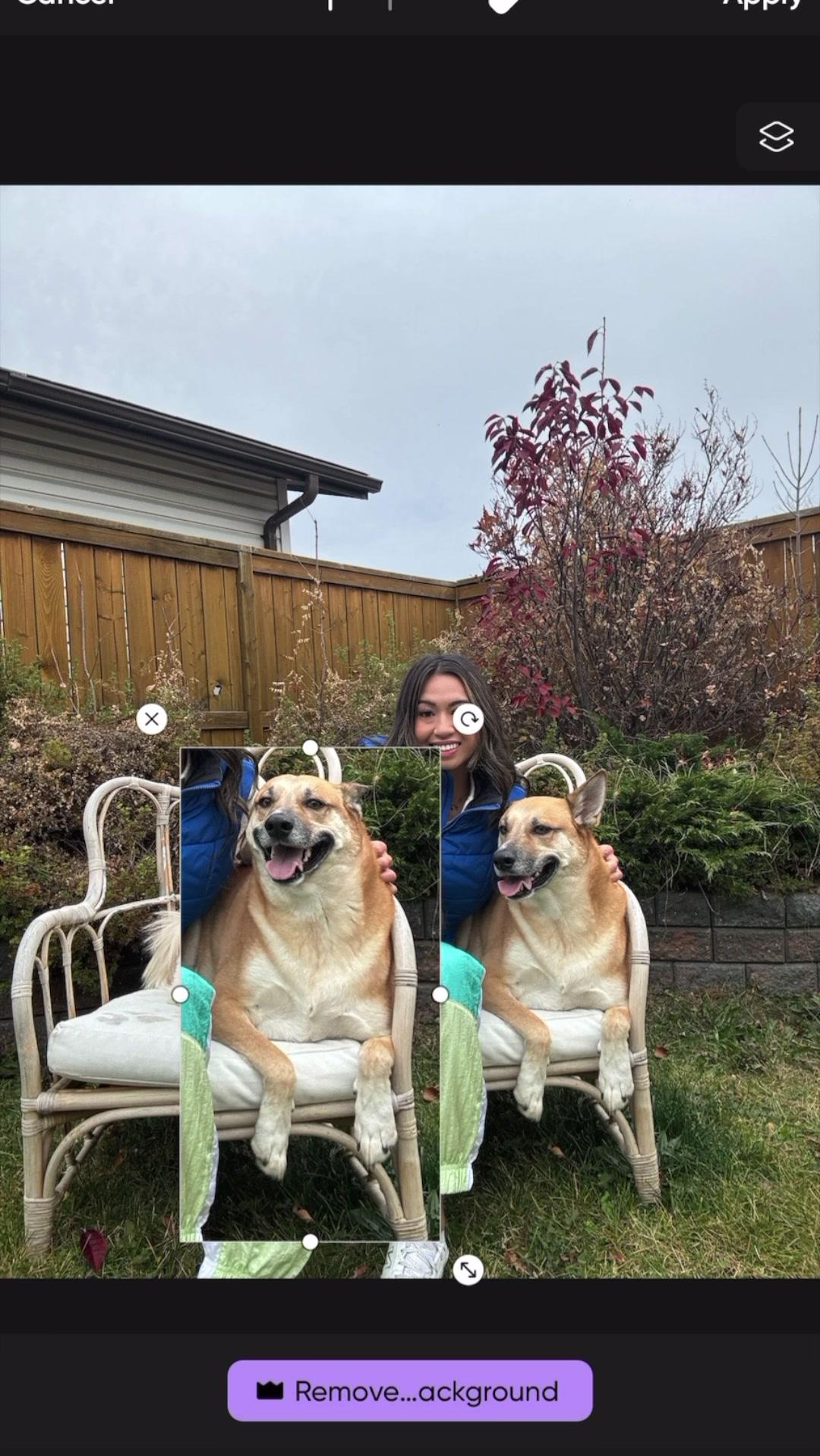 Forever making sure everyone looks good in photos @Picsart AI Photo Editor, Video #photoeditingchallenge #howtoedityourpicture #ad