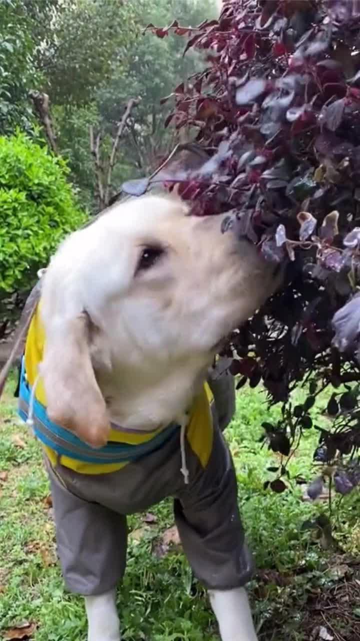 Free time part-time income