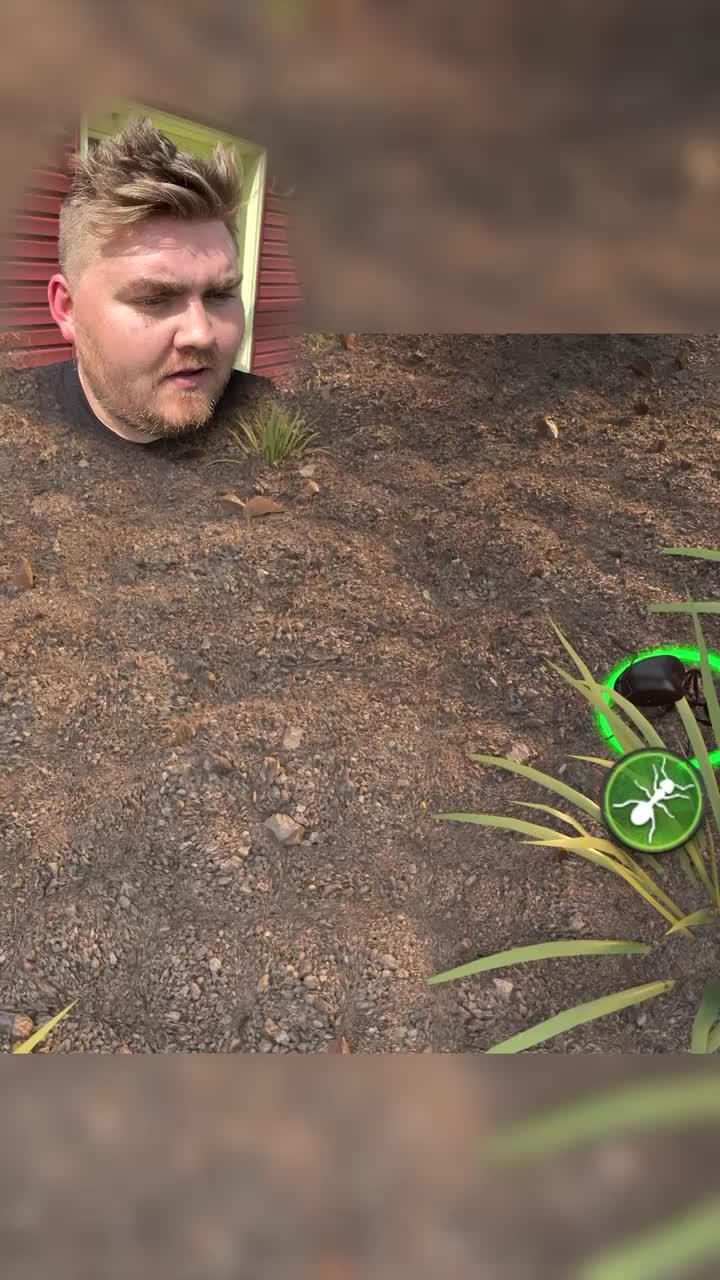 Join The Ants and start your legend!