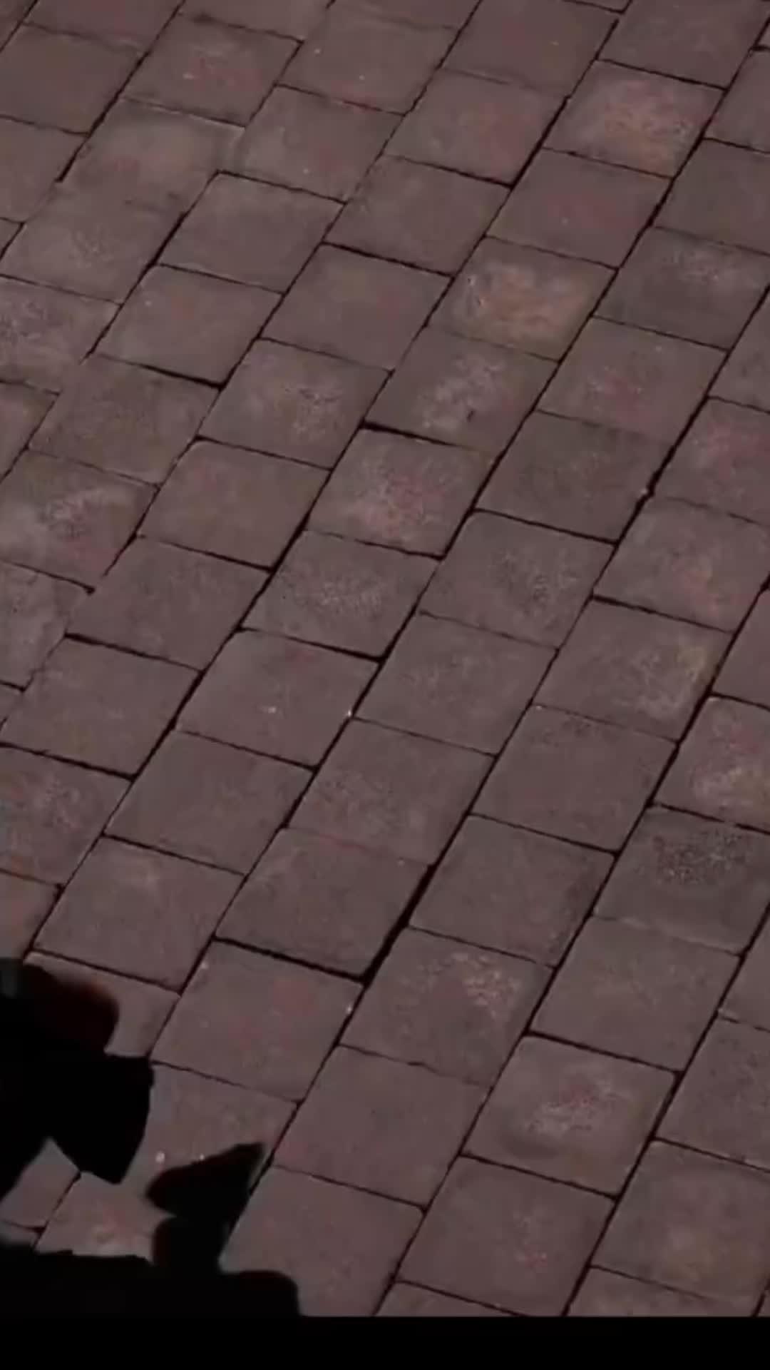 Find your best psychic here!