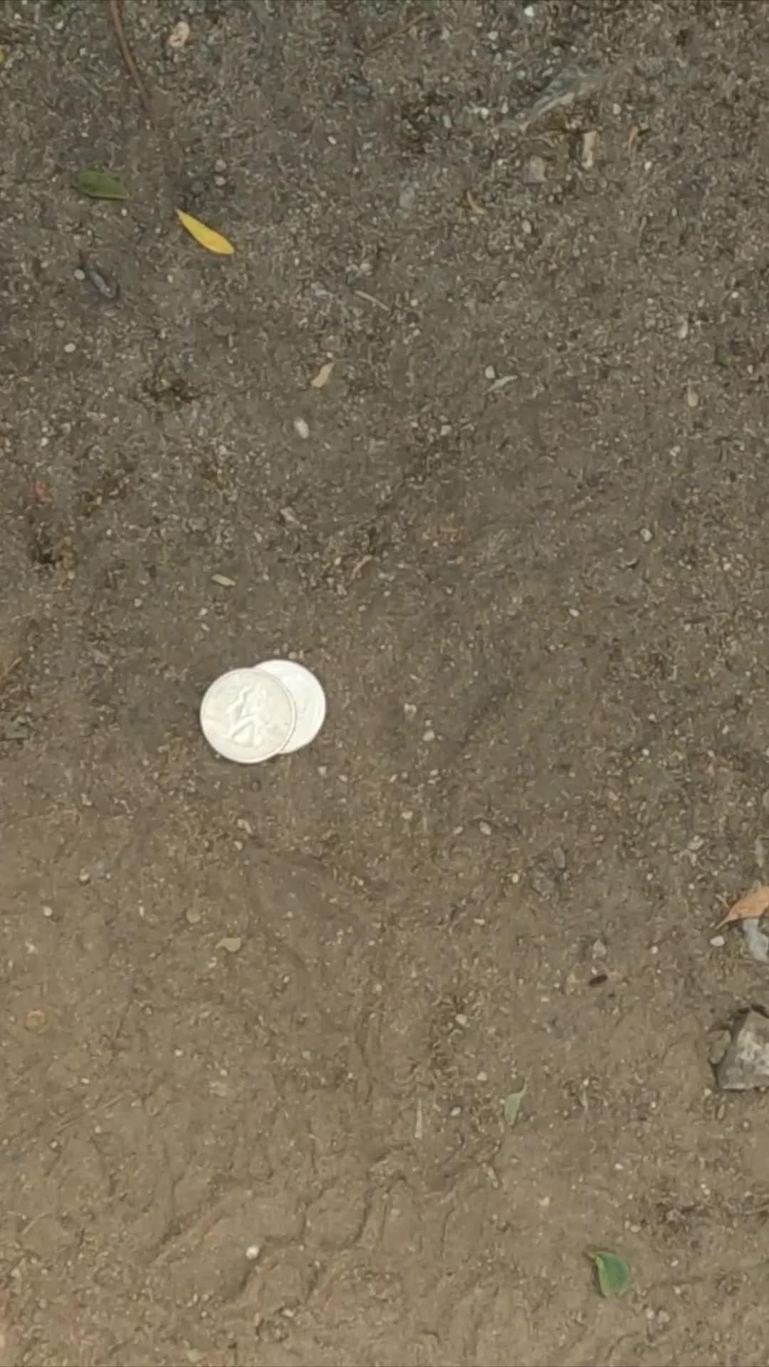 Scan and appraise your coins instantly with our mobile app!