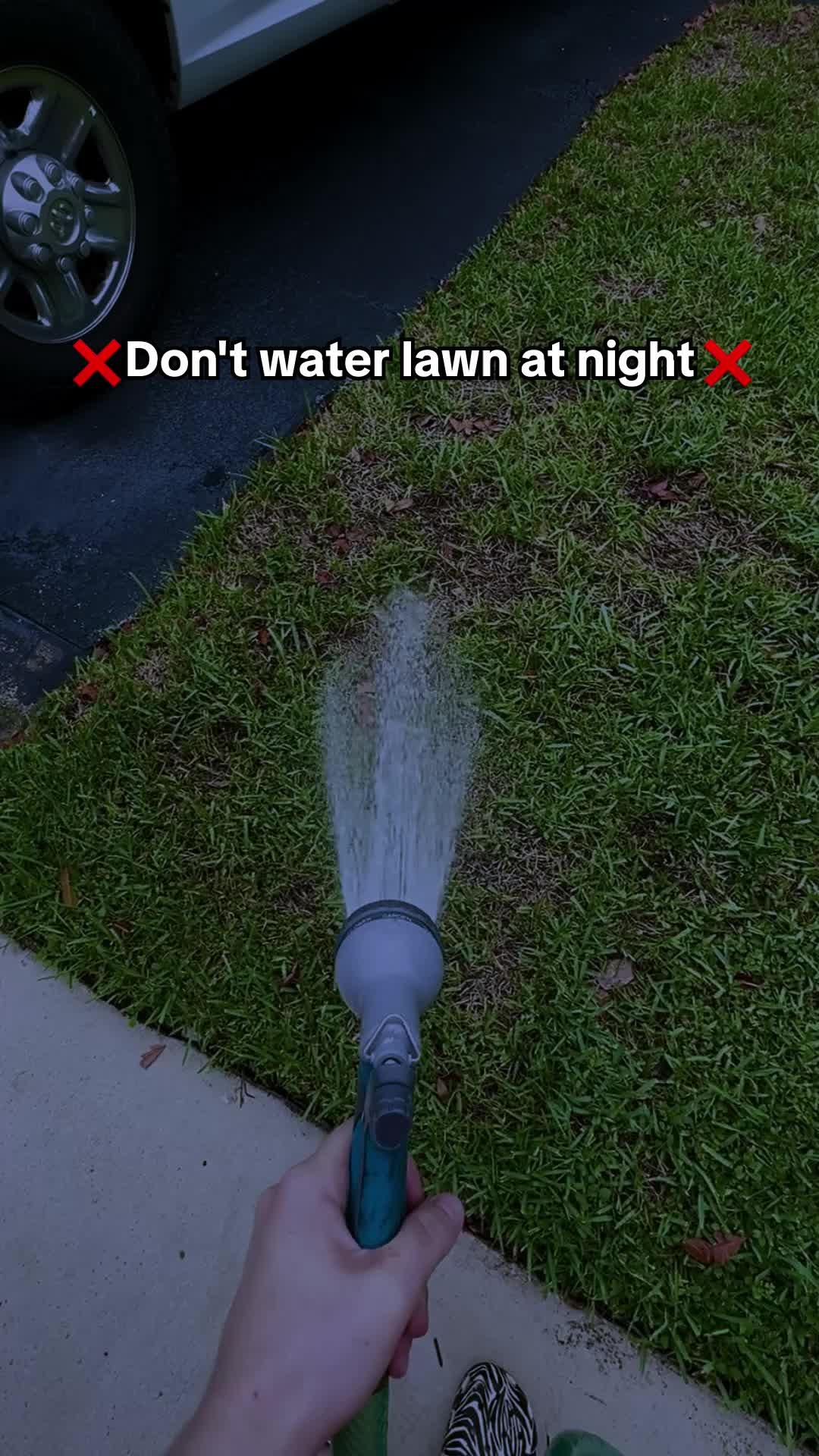 Need tips for reviving a dying plant?