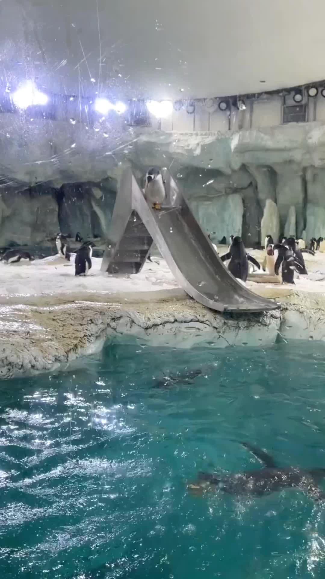 OMG! My Childhood Toy!