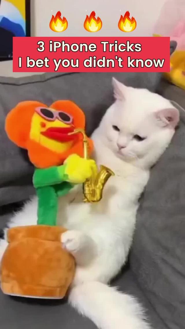 Clean Up iPhone & iCloud