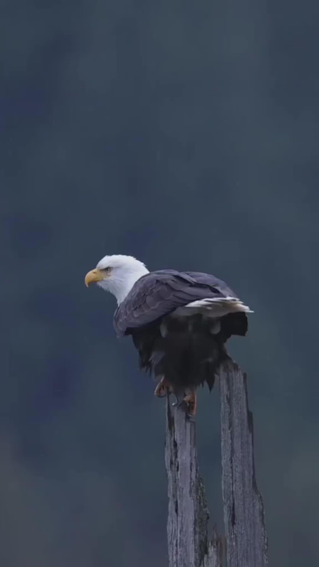 Explore "real world" virtual real estate that pays Cash back