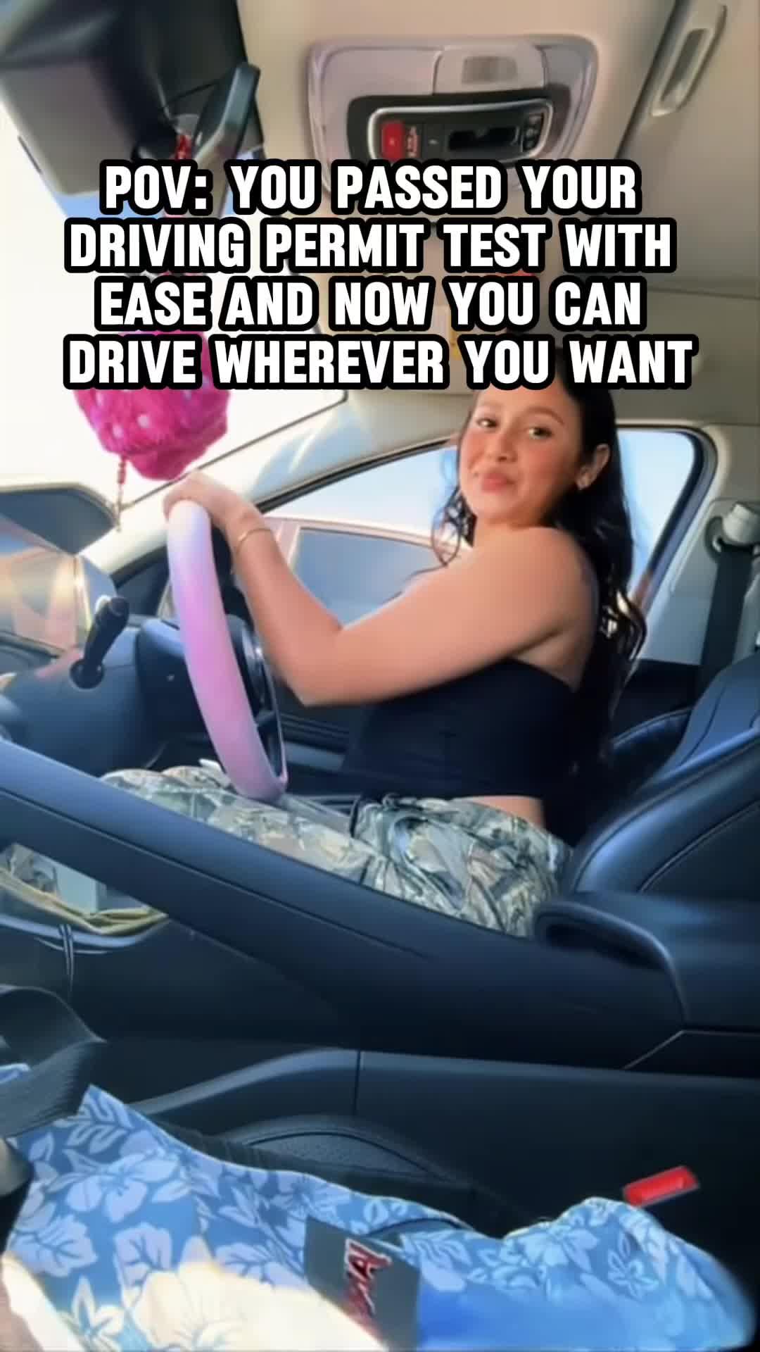 Ace your permit test and master behind-the-wheel training now!