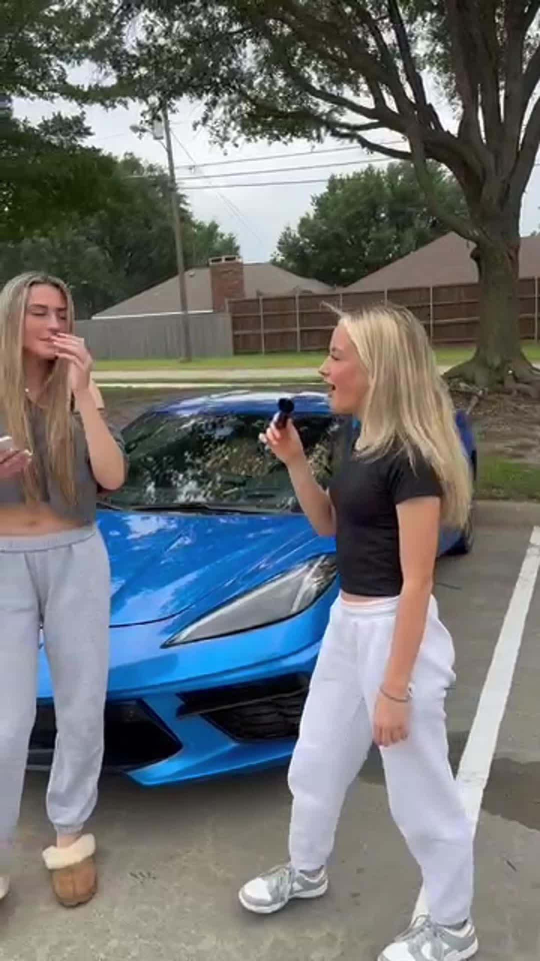 Live as a vampire lord!