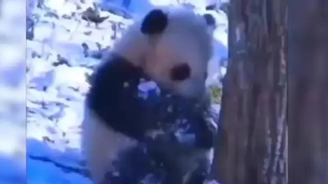 ダンジョン冒険とオートチェスが融合した究極RPG！