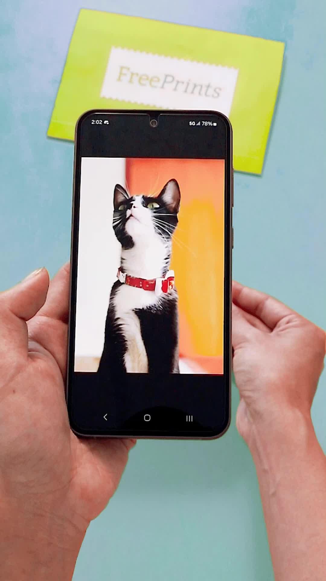 Get 15 free 4x6 prints and free shipping with code '15FREE'