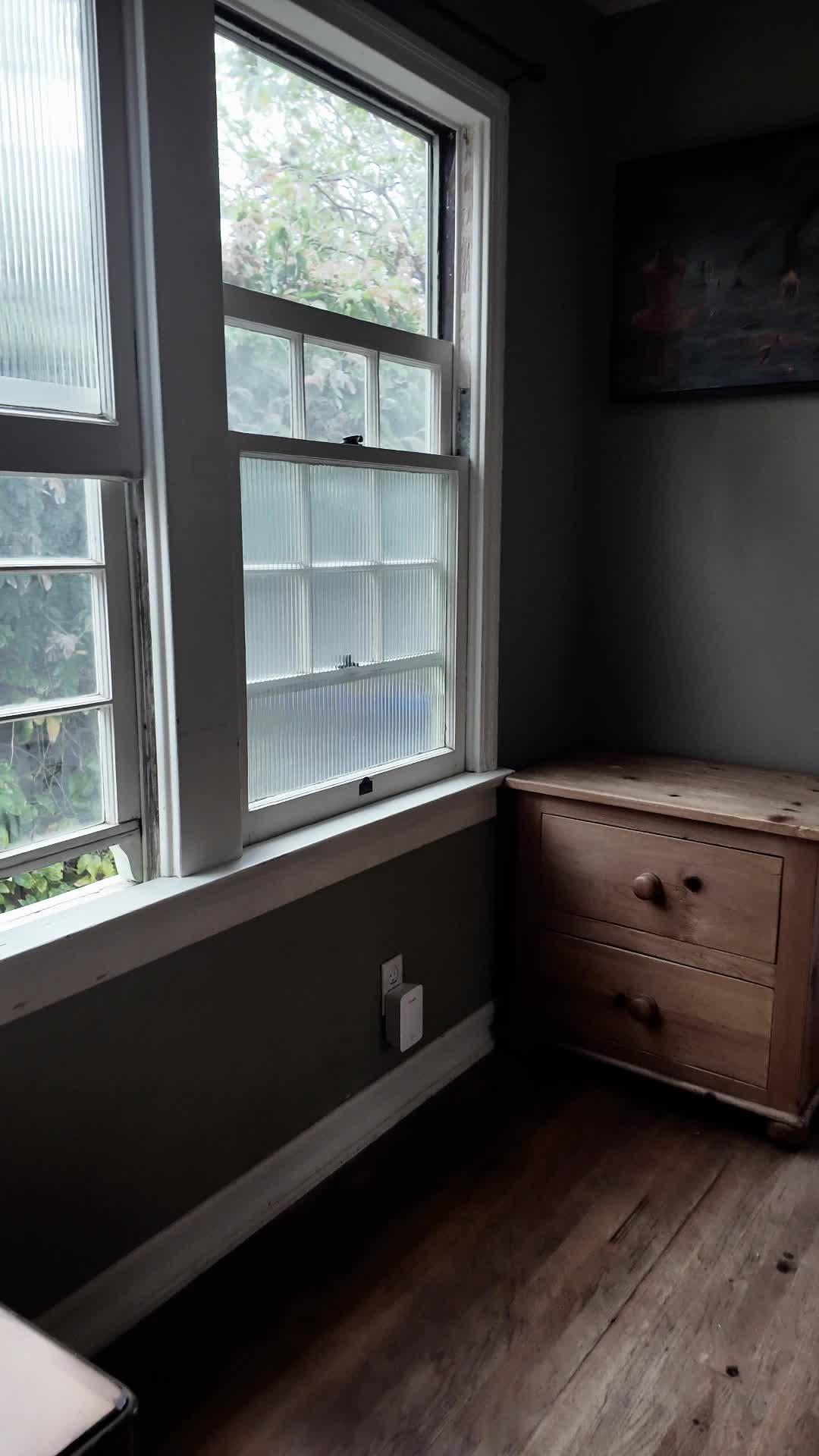 Stay in the loop without leaving your couch—because why move?