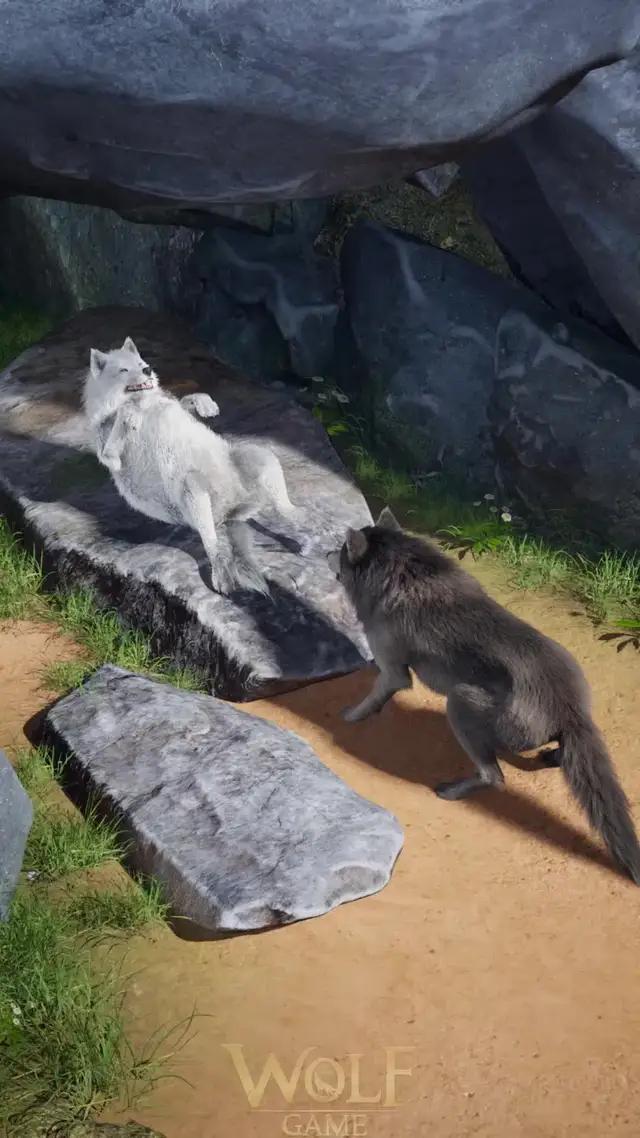 Become the wolf lords, rise to the top of food chain.