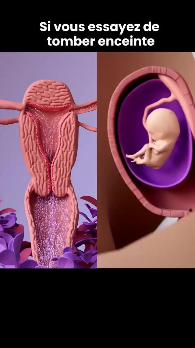 TOMBER ENCEINTE PLUS FACILE ? Obtenez des informations sur la fertilité en temps réel