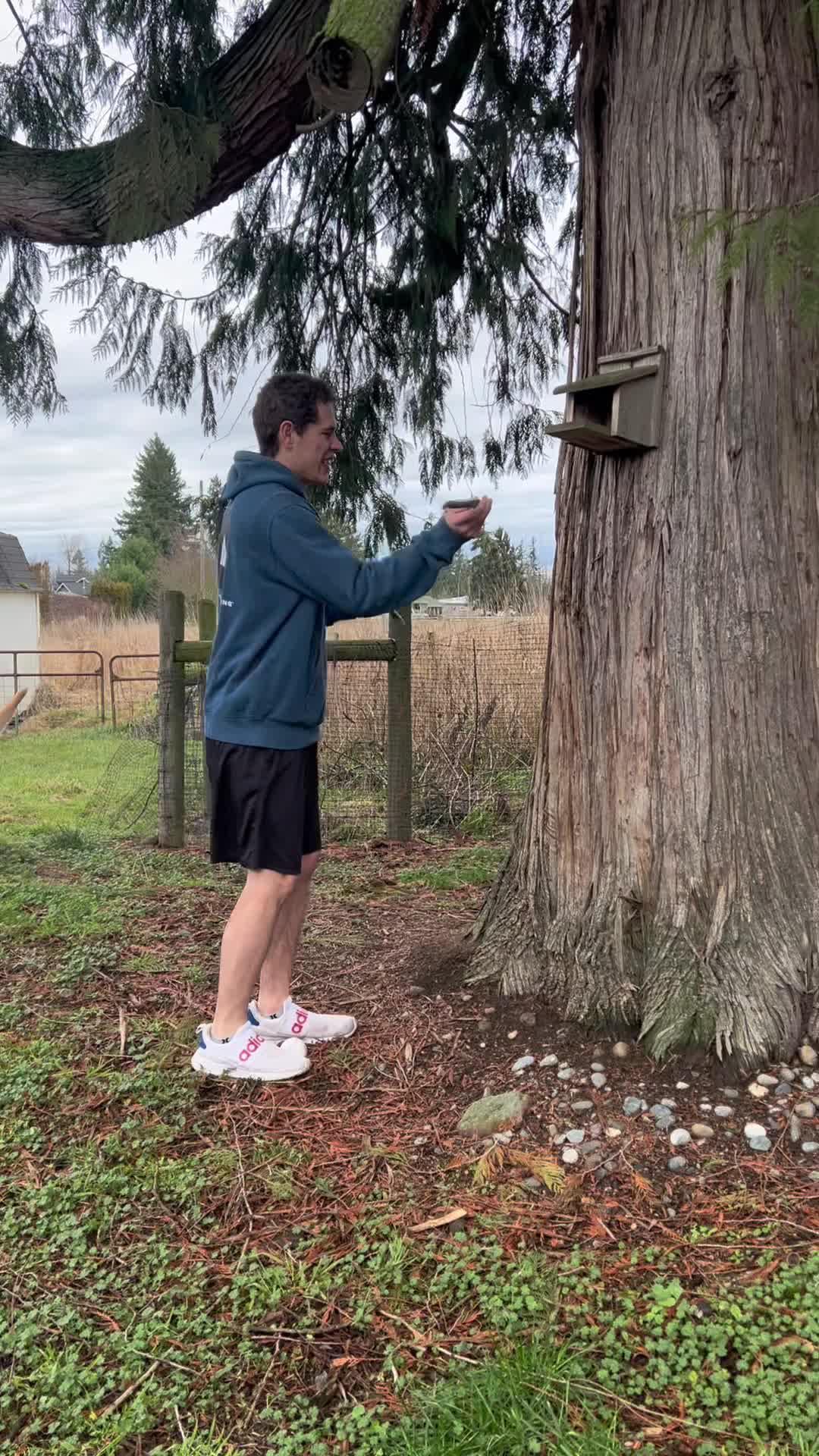 Download NOW for FREE!